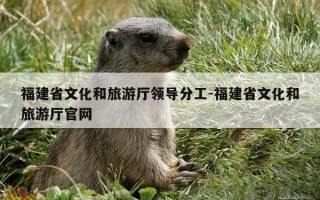 福建省文化和旅游厅领导分工-福建省文化和旅游厅官网