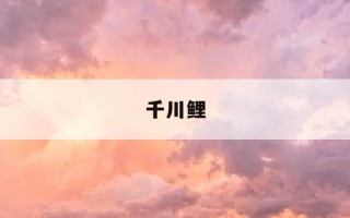 千川鲤-千川鲤4代