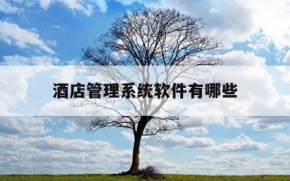 酒店管理系统软件有哪些-酒店常用管理系统