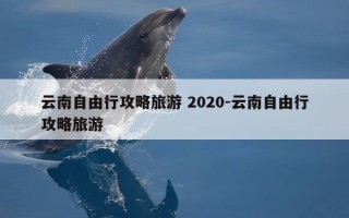 云南自由行攻略旅游 2020-云南自由行攻略旅游