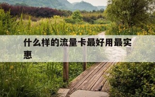 什么样的流量卡最好用最实惠-啥样的流量卡好用