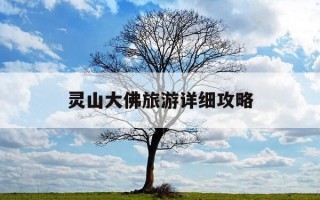 灵山大佛旅游详细攻略-灵山大佛旅游详细攻略九龙灌浴是几点钟