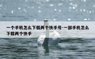 一个手机怎么下载两个快手号-一部手机怎么下载两个快手
