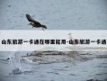 山东旅游一卡通在哪里能用-山东旅游一卡通