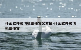 什么软件买飞机票便宜又方便-什么软件买飞机票便宜