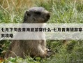 七月下旬去青海旅游穿什么-七月青海旅游穿衣攻略