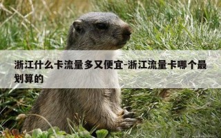 浙江什么卡流量多又便宜-浙江流量卡哪个最划算的