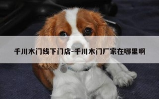 千川木门线下门店-千川木门厂家在哪里啊