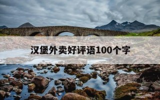 汉堡外卖好评语100个字-汉堡外卖评价语30字