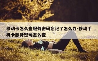 移动卡怎么查服务密码忘记了怎么办-移动手机卡服务密码怎么查