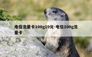电信流量卡100g19元-电信100g流量卡