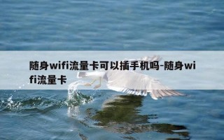 随身wifi流量卡可以插手机吗-随身wifi流量卡