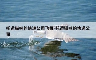 托运猫咪的快递公司飞机-托运猫咪的快递公司