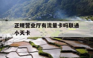 正规营业厅有流量卡吗联通小天卡-电信流量卡全国无限流量19元办理