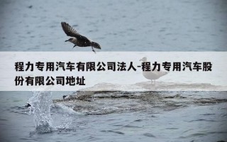 程力专用汽车有限公司法人-程力专用汽车股份有限公司地址