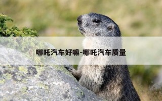 哪吒汽车好嘛-哪吒汽车质量