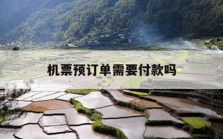 机票预订单需要付款吗-机票预订单怎么弄