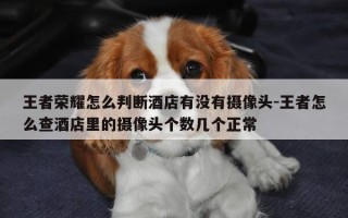 王者荣耀怎么判断酒店有没有摄像头-王者怎么查酒店里的摄像头个数几个正常