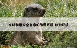 文明和谐安全有序的旅游环境-旅游环境