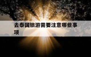 去泰国旅游需要注意哪些事项-去泰国旅游需要注意哪些事项和细节呢