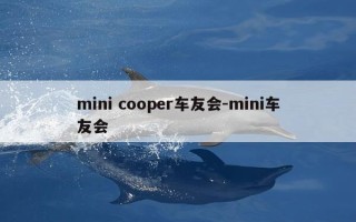 mini cooper车友会-mini车友会