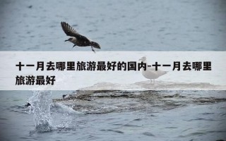 十一月去哪里旅游最好的国内-十一月去哪里旅游最好