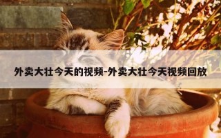 外卖大壮今天的视频-外卖大壮今天视频回放