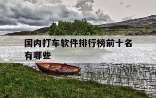 国内打车软件排行榜前十名有哪些-国内打车软件排行榜前十名有哪些公司