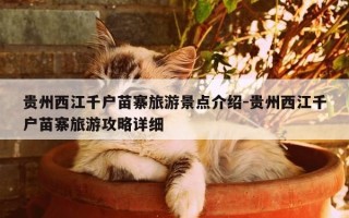 贵州西江千户苗寨旅游景点介绍-贵州西江千户苗寨旅游攻略详细