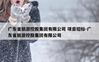广东省旅游控股集团有限公司 项目招标-广东省旅游控股集团有限公司