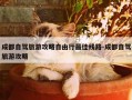 成都自驾旅游攻略自由行最佳线路-成都自驾旅游攻略