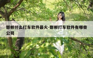 邯郸什么打车软件最火-邯郸打车软件有哪些公司