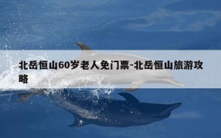 北岳恒山60岁老人免门票-北岳恒山旅游攻略