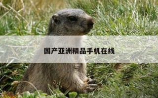 国产亚洲精品手机在线