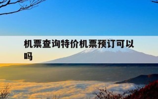 机票查询特价机票预订可以吗-机票订单可以查询吗