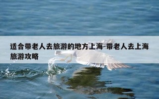适合带老人去旅游的地方上海-带老人去上海旅游攻略