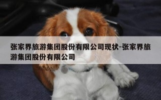 张家界旅游集团股份有限公司现状-张家界旅游集团股份有限公司