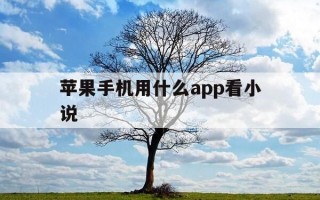 苹果手机用什么app看小说-苹果用什么软件看小说好