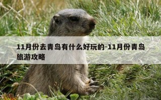 11月份去青岛有什么好玩的-11月份青岛旅游攻略