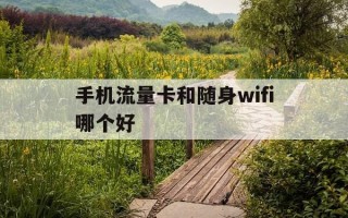 手机流量卡和随身wifi哪个好-手机流量卡和随身wifi哪个好用
