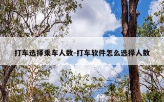 打车选择乘车人数-打车软件怎么选择人数