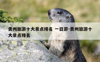 贵州旅游十大景点排名 一日游-贵州旅游十大景点排名