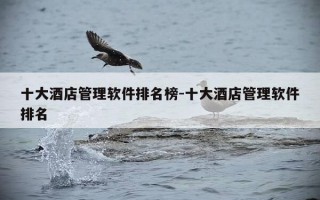 十大酒店管理软件排名榜-十大酒店管理软件排名