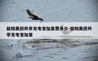 益阳美团共享充电宝加盟费多少-益阳美团共享充电宝加盟