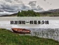 旅游保险一般是多少钱-旅游保险一般是多少钱一个月