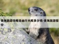 青海旅游攻略自由行大概多少钱-青海旅游报价