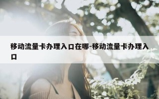移动流量卡办理入口在哪-移动流量卡办理入口