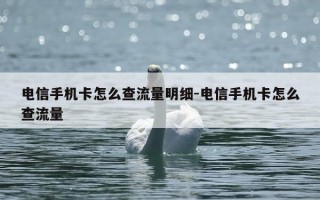 电信手机卡怎么查流量明细-电信手机卡怎么查流量
