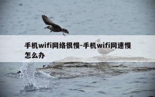 手机wifi网络很慢-手机wifi网速慢怎么办
