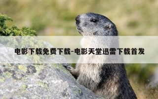 电影下载免费下载-电影天堂迅雷下载首发